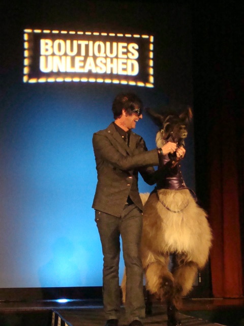 {seth aaron henderson and smokey the llama}