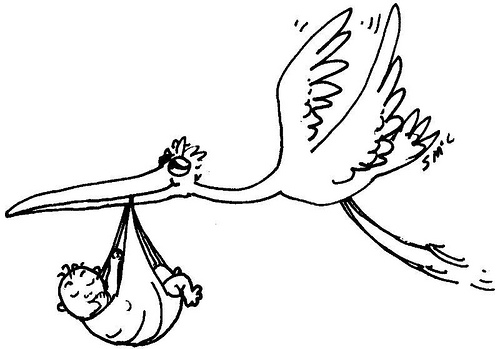 stork